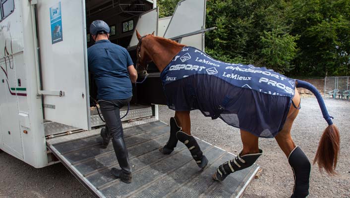 Traceability & Movements